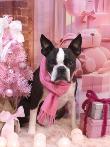 20241214ＡＤくん